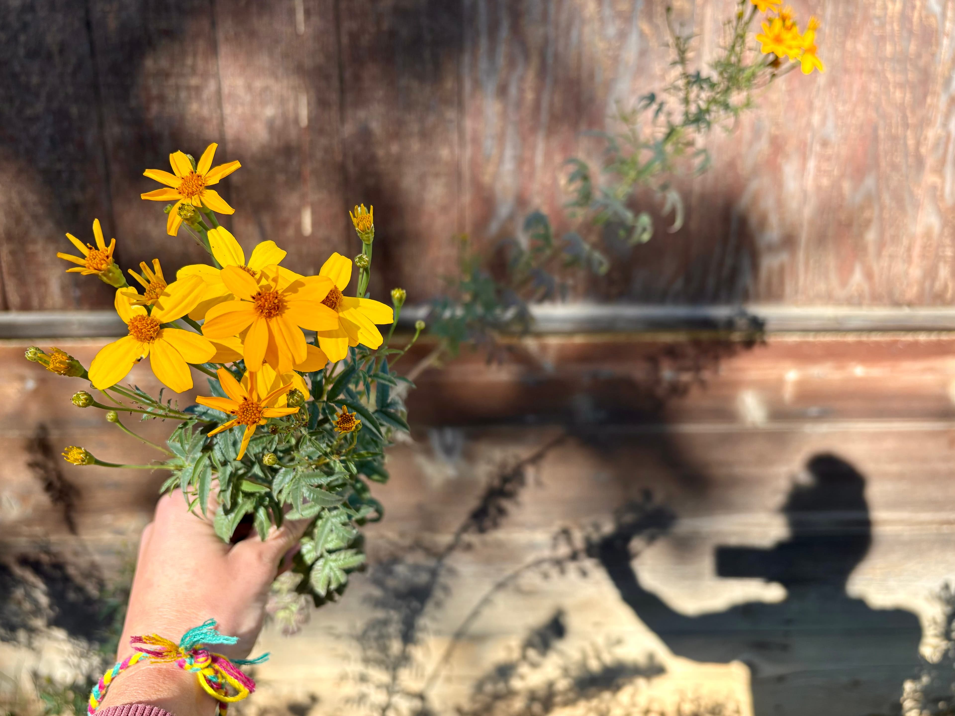 Notes of Hope: Vol. 5